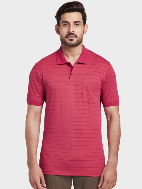 

ColorPlus Men Maroon Striped Polo Collar T-shirt