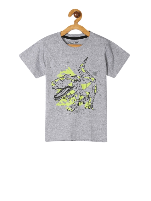 

Cherokee Boys Grey Printed Round Neck T-shirt