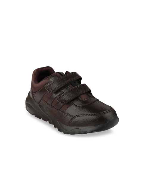

Rex Boys Brown Slip-On Sneakers