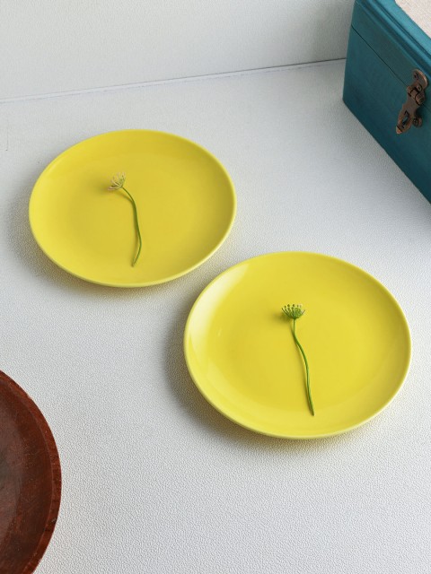 

Ariane Yellow 2 Pcs Solid Porcelain Plates Set