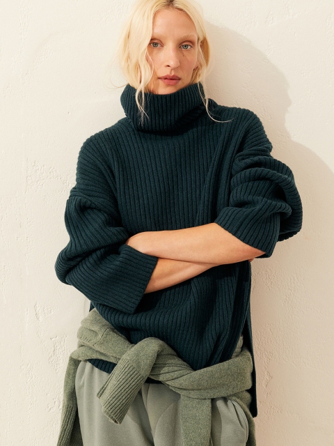 

H&M Women Green Solid Ribbed Polo-Neck Jumper