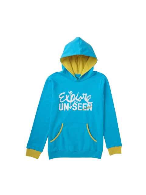 

Cub McPaws Boys Blue Printed Hooded Sweatshirt