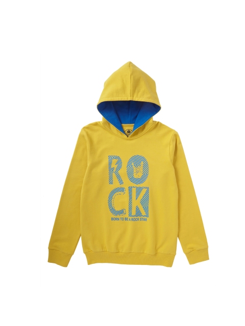

Cub McPaws Boys Yellow Printed Hooded Sweatshirt