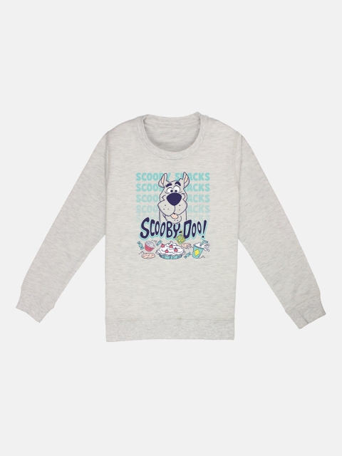

Kids Ville Boys Grey Printed Sweatshirt