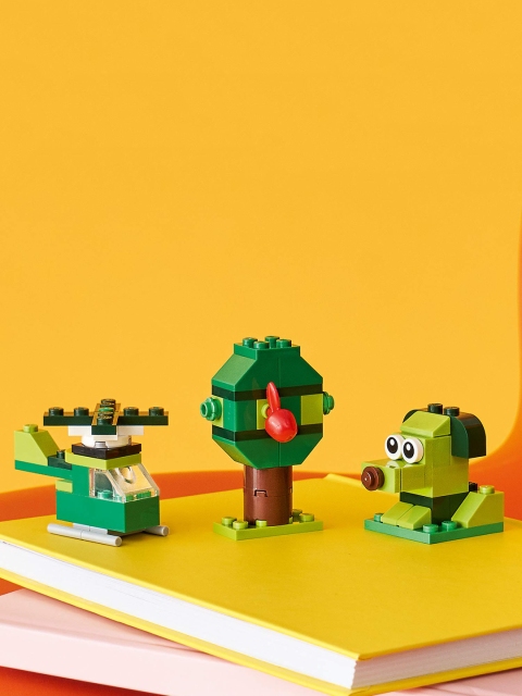 

LEGO Kids Green & Brown Creative Bricks