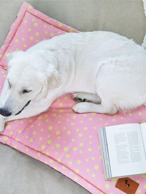 

Heads Up For Tails Pink & Yellow Polka Dots Print Chew Resistant Indoor Dog Pet Mat