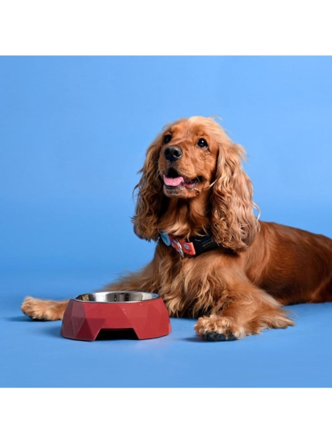 

Heads Up For Tails Maroon Solid Anti-Skid Dog Pet Bowls