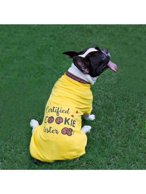 

Heads Up For Tails Yellow & Maroon Printed Dog T-shirt