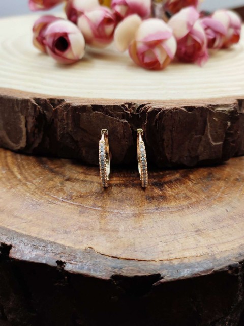 

Sia Art Jewellery Gold-Plated Cubic Zirconia Circular Studs