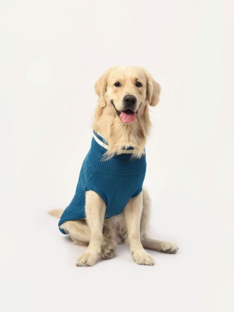 

Heads Up For Tails Blue Solid Dog Sweater