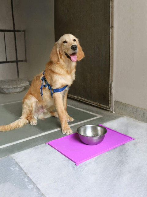 

Heads Up For Tails Purple Anti Spill Food Mat