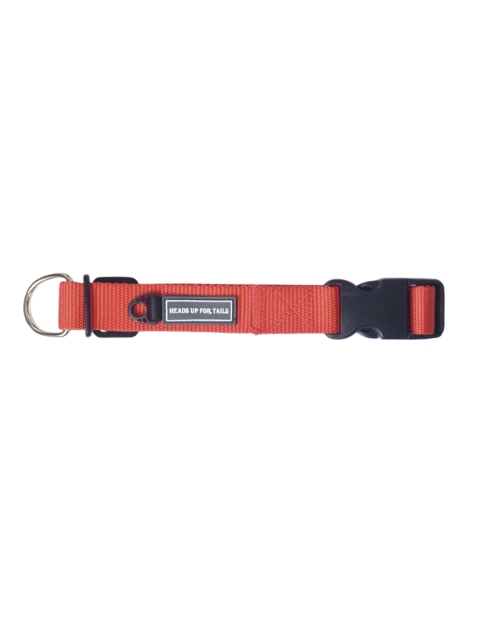 

Heads Up For Tails Orange Classic Nylon Dog Collar