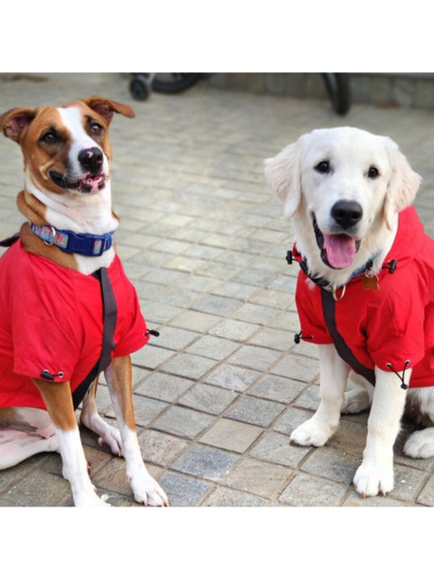 

Heads Up For Tails Red Solid Dog Raincoat