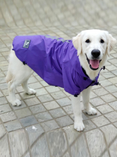 

Heads Up For Tails Purple Dog Raincoat