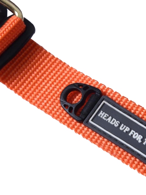 

Heads Up For Tails Orange Classic Nylon Dog Collar