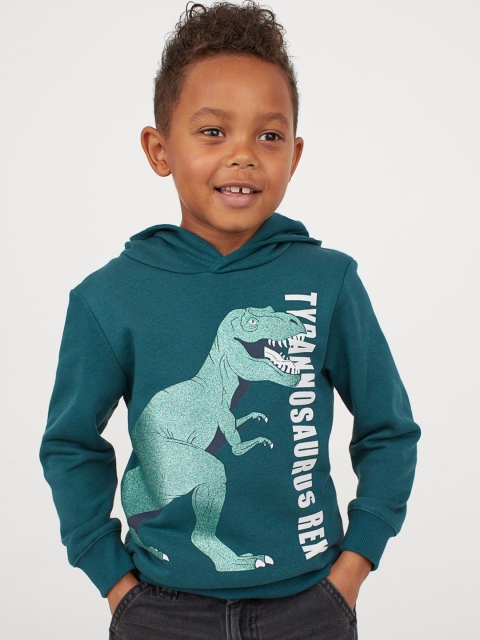 

H&M Boys Teal Blue & Green Dinosaur Print Cotton-Blend Hoodie