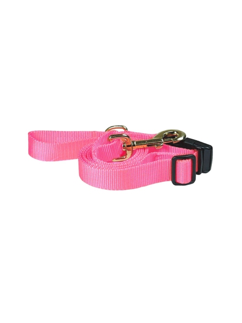 

Heads Up For Tails Pink Nylon Dog Leash