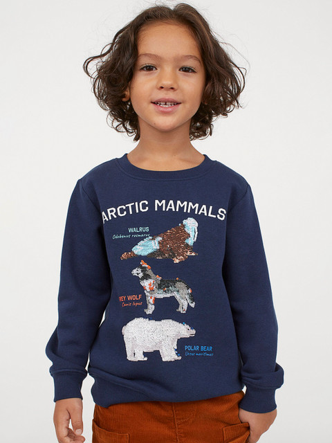 

H&M Boys Blue Sequined Sweatshirt