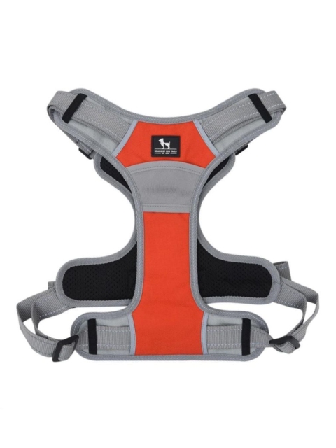 

Heads Up For Tails Grey & Orange Colourblocked Active Pet Dog Harness