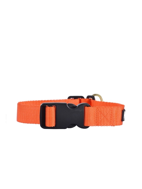 

Heads Up For Tails Orange Solid Classic Nylon Dog Collar