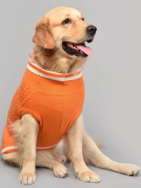 

Heads Up For Tails Orange Dog Sweater