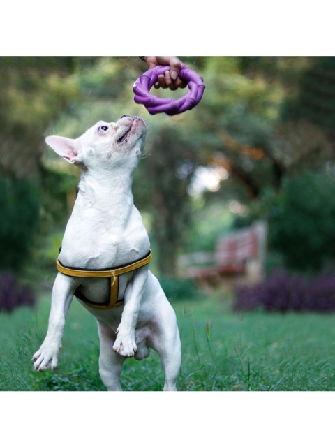 

Heads Up For Tails Purple Solid Twistee Collection Chomp Circle Dog Toy