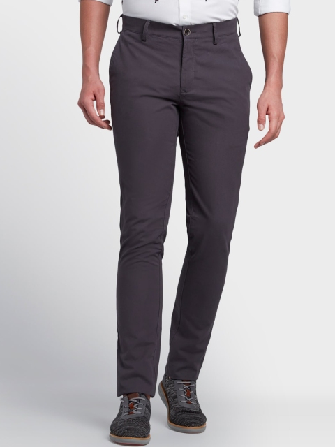 

ColorPlus Men Grey Regular Fit Solid Trousers