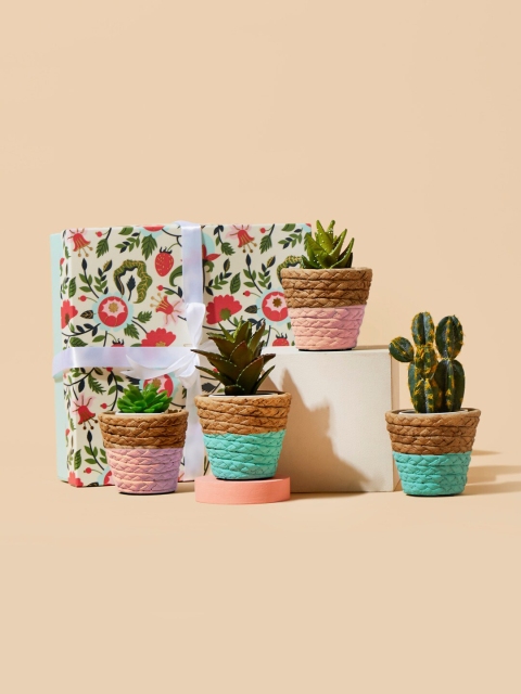 

Chumbak Set of 4 Plant Good Vibes Planters Gift Box, Brown
