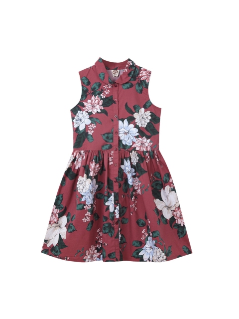 

Cub McPaws Girls Red Printed Fit and Flare Dress