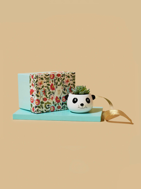 

Chumbak White Happy Panda Planter Gift Box
