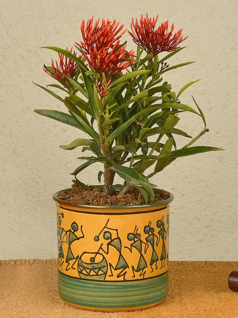 

StyleMyWay Green & Yellow Handpainted Ceramic Planter