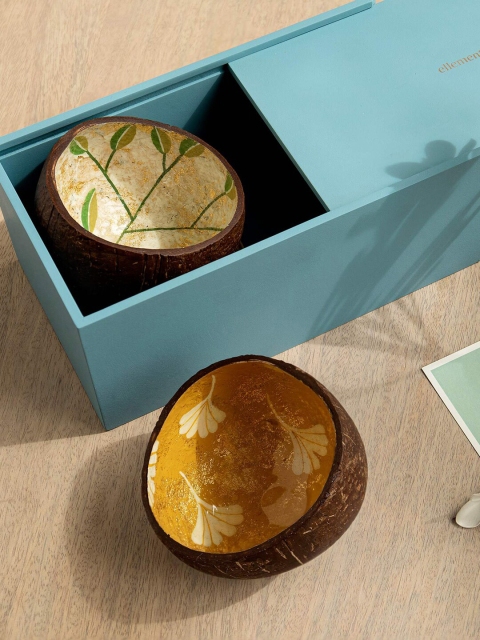 

ellementry Brown Set of 2 Coco Art Bowls, Multi
