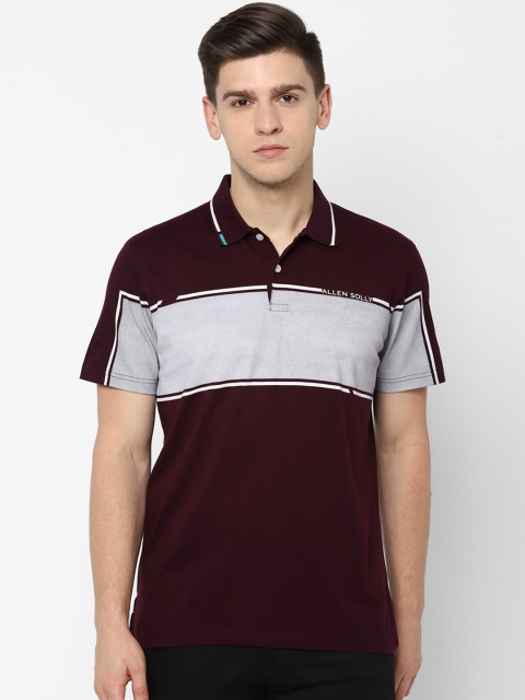 

Allen Solly Men Maroon & Grey Melange Colourblocked Polo Collar T-shirt