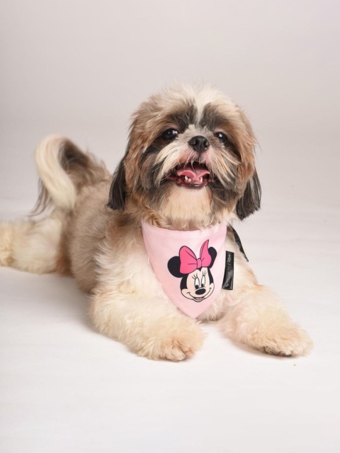 

Heads Up For Tails Pink Disney Minnie Mouse Print Dog Bandana