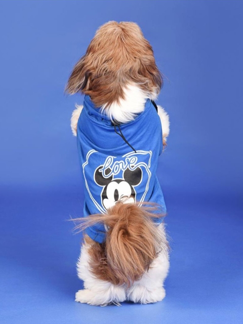 

Heads Up For Tails X Blue Disney Mickey Mouse Printed Dog T-Shirt
