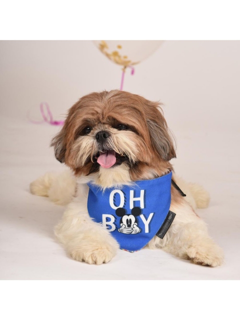 

Heads Up For Tails Blue Disney Mickey Print Dog Bandana
