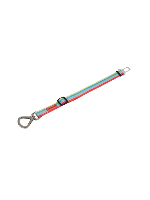 

HUFT Rainbow Popsicle Dog Leash, Multi