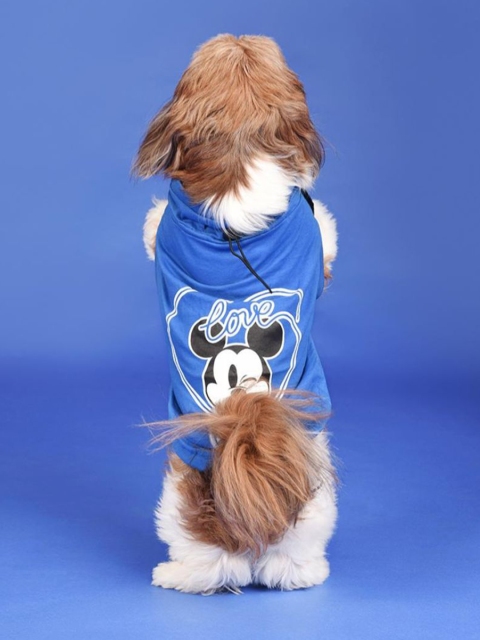 

Heads Up For Tails Blue & White Printed Disney Mickey Dog T-Shirt