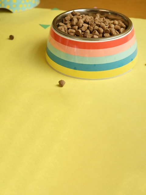 

Heads Up For Tails Multicolour Striped Rainbow Popsicle Dog Bowl, Multi