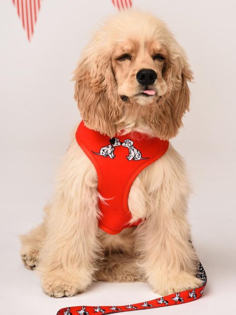 

Heads Up For Tails Disney Dalmatians Reversible Dog Harness, Red