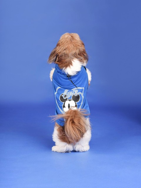 

Heads Up For Tails Blue Disney Mickey Printed Dog T-Shirt