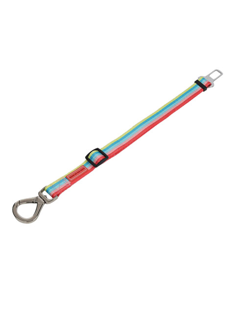 

Heads Up For Tails Rainbow Popsicle Dog Leash, Multi