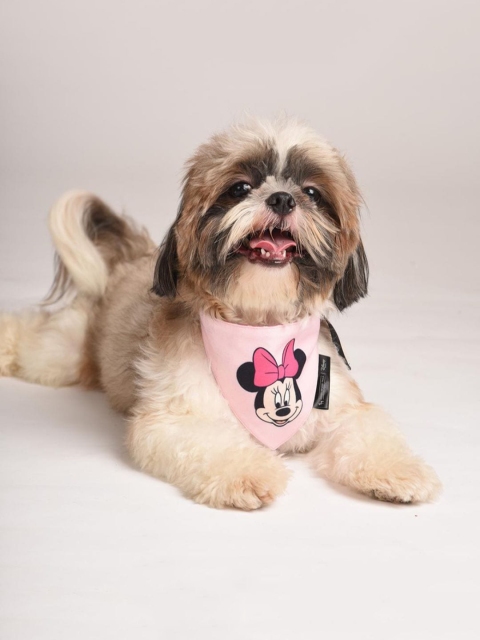 

Heads Up For Tails Pink Printed Disney Minnie Dog Bandana