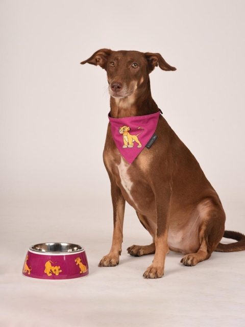 

Heads Up For Tails x Disney Simba Purple Printed Dog Bandana