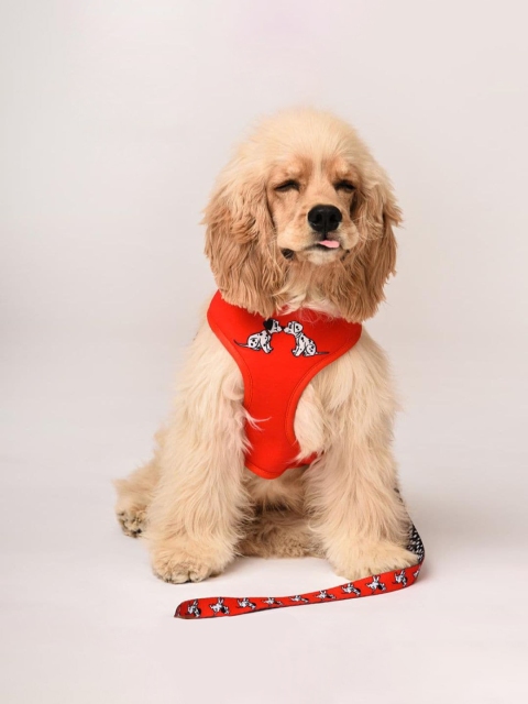

Heads Up For Tails Disney Dalmatians Reversible Dog Harness, Red