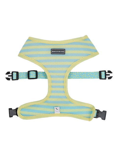 

Heads Up For Tails Daisy Bell Reversible Dog Harness, Blue