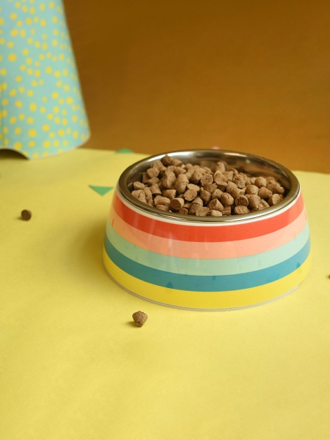 

Heads Up For Tails Multicoloured Rainbow Popsicle Printed Dog Bowl, Multi