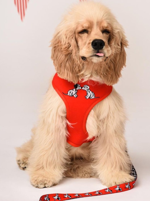 

Heads Up For Tails X Disney Red Printed Reversible Dog Harness