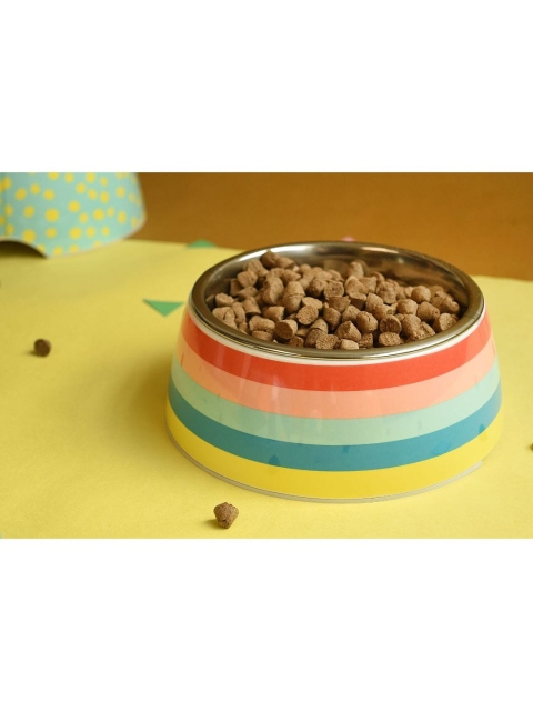 

Heads Up For Tails Multicoloured Rainbow Popsicle Printed Extra Large Dog Bowl, Multi