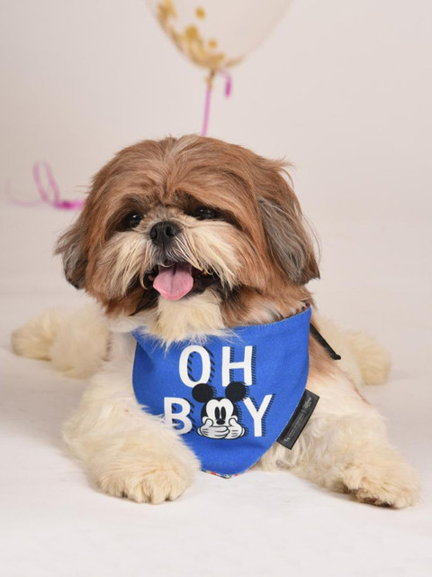 

Heads Up For Tails Blue & White Disney Mickey Dog Bandana